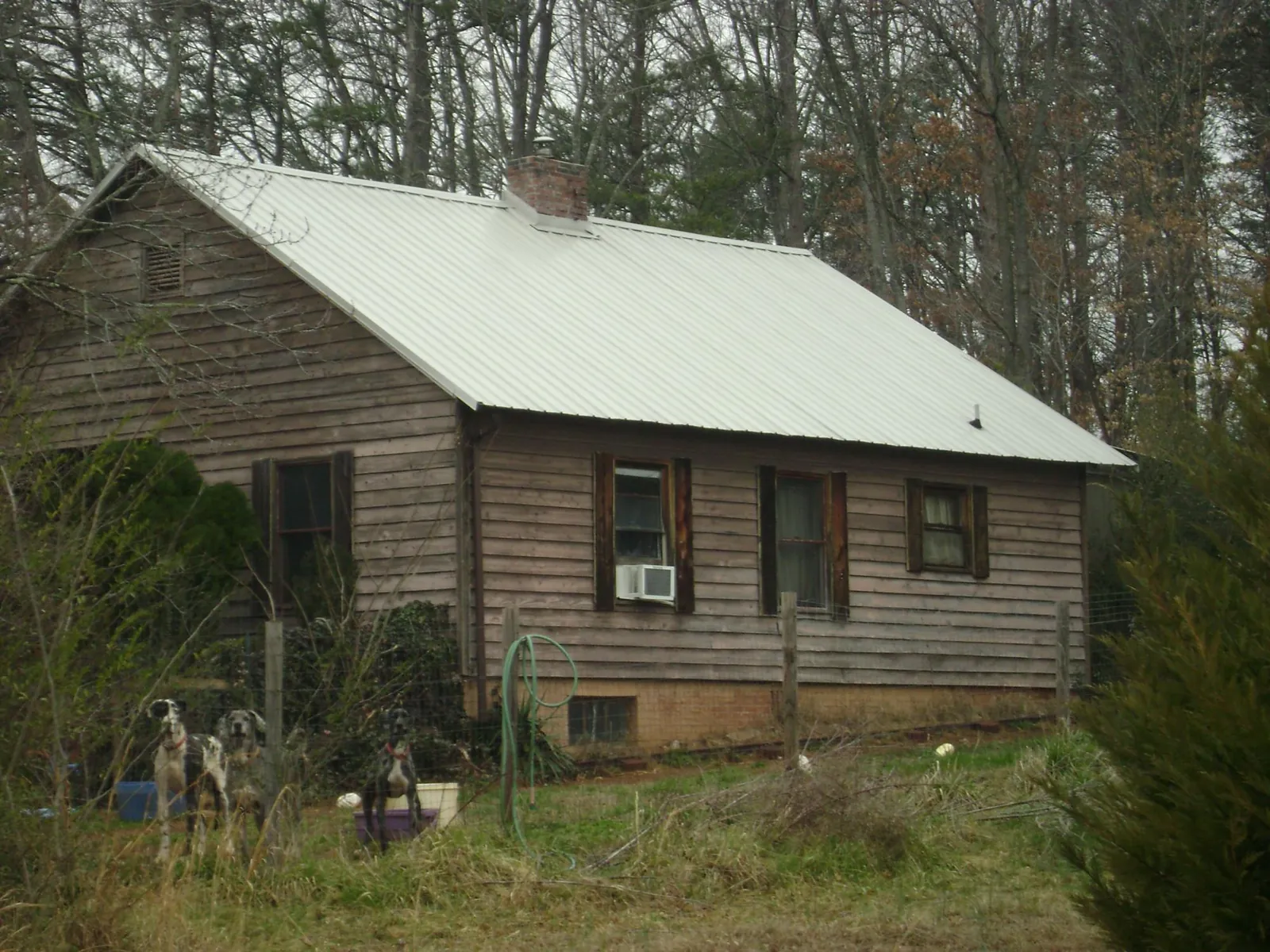 White metal roof on an old wood sided farmhouse, from a Metal Roof Installation job in Garnerville